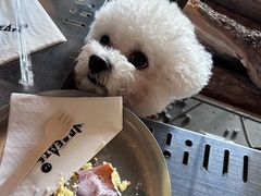 -J Create城市露营咖啡·简餐·宠物(上海动物园店)