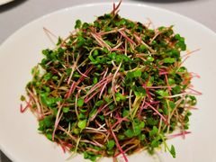 -钱记生态酒店(云密城店)