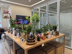 -dōTERRA多特瑞精油生活馆