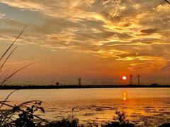 -宝安西湾红树林湿地公园