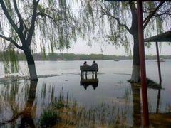-石家庄市植物园