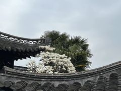 -何园