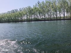 -白洋淀景区