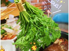 -签多多串串香火锅