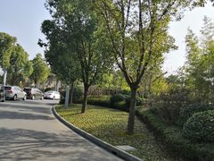 -上海崇明金茂凯悦酒店