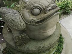 -活水公园