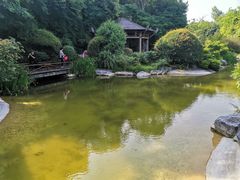 -吴淞炮台湾湿地森林公园烧烤区