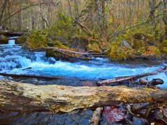 -叠溪松坪沟景区