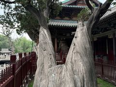-晋祠公园