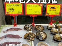 -蚝专家(北滘店)