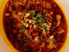 -喜乐餐厅•灯笼虾球首创者•本地小海鲜(二马路店)