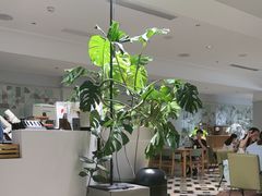 -一尺花园(安和花园店)