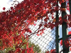 -中国建设银行哈尔滨培训中心