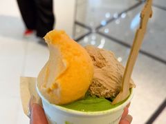 -鹤茶野所(上海首店)