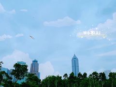 -万绿园