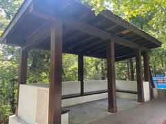 -云碧峰国家森林公园