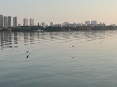 -蠡湖大桥公园