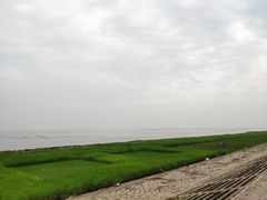 -南汇嘴观海公园