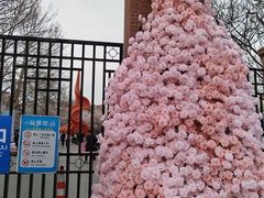 -桃花堤公园