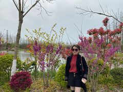 -上海长兴岛郊野公园