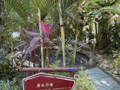 -碧桂园润杨溪谷温泉酒店