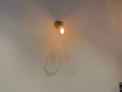 -black rainbow coffee