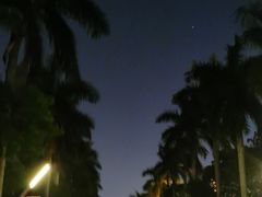 -万绿园