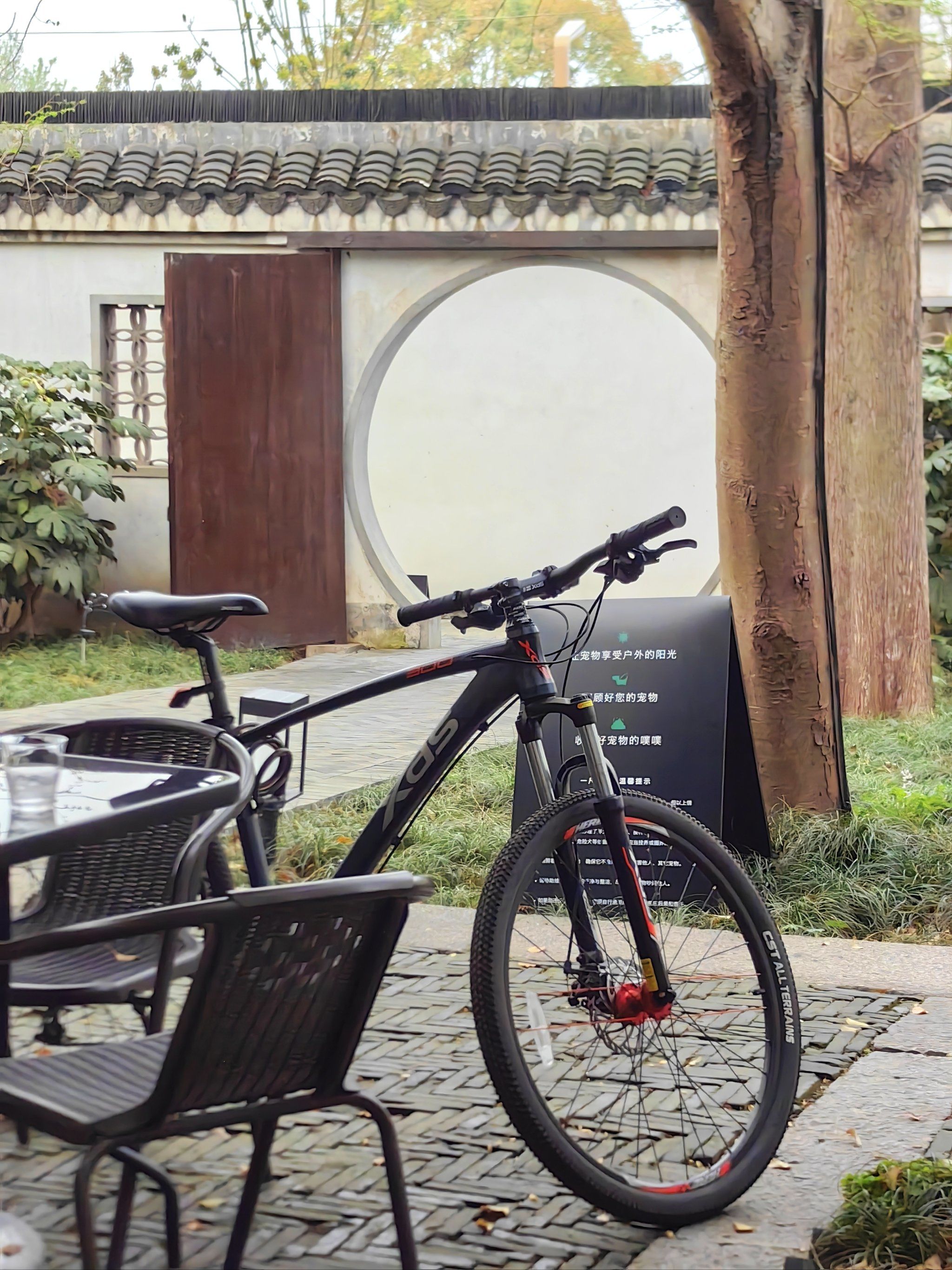 春日骑行|枫泾古镇·状元楼