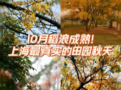 -嘉北郊野公园