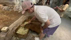 -Zoolung Zoolung动物主题公园(海信广场店)