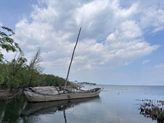 -洱海月湿地公园