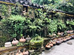 -青城甲(青城山店)