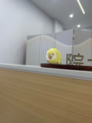 -痘院士专业祛痘皮肤管理