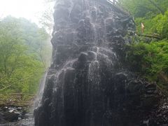 -凤凰山国家森林公园