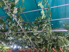 -伊隆斋(什刹海店)