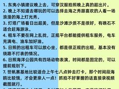 -日照海滨国家森林公园