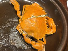 -大东海海鲜酒楼(渔人码头总店)