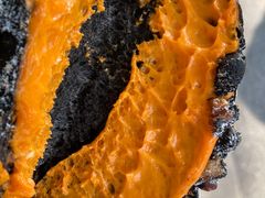 -BUTTERFUL&CREAMOROUS 黄油与面包(三里屯太古里店)