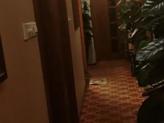 -智慧盲人按摩艾灸-颈肩腰膝疼痛调理(浦东店)