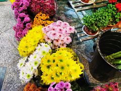 -花草间花行(法华镇路店)