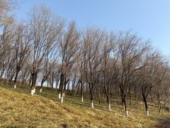 -河北省园博园