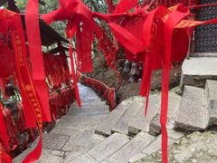 -南京老山国家森林公园