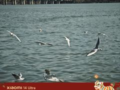 -蠡湖大桥公园