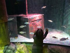 -沈阳海洋探索中心