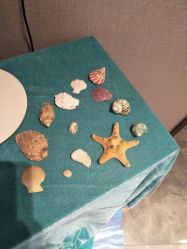 -美健盛世·美容SPA连锁