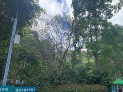 -野象谷景区
