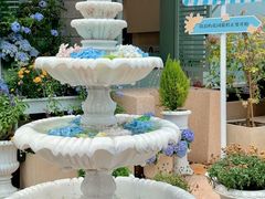 -苏小糖(鼓浪屿三丘田花园店)