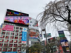-涩谷区
