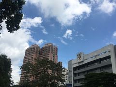 -香港大学