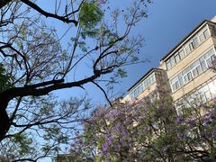 -云南师范大学(一二一西南联大校区)